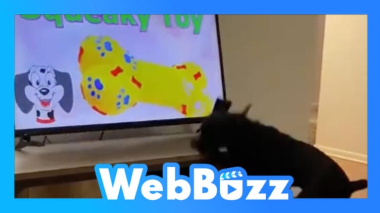 Quand pitou croit que la télé est vraie