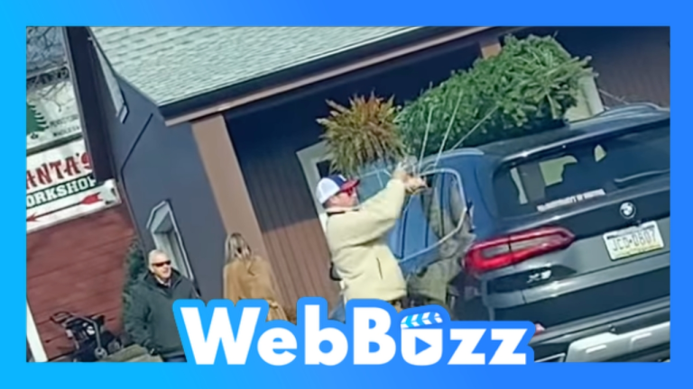 Quoi ne pas faire lorsqu'on va chercher son sapin