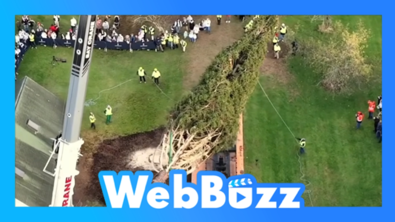 L'arrivée du sapin du Rockefeller Center 2025