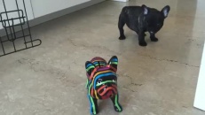 Confondre un bibelot avec un chien!
