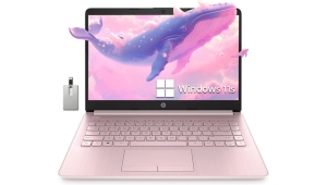 HP Stream HD BrightView 14 po