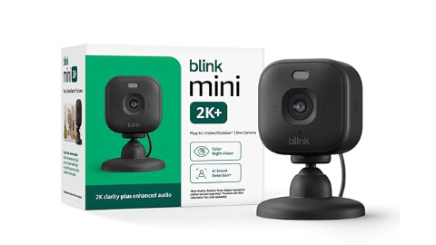 Blink mini 2k