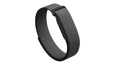 Google Fitbit Air