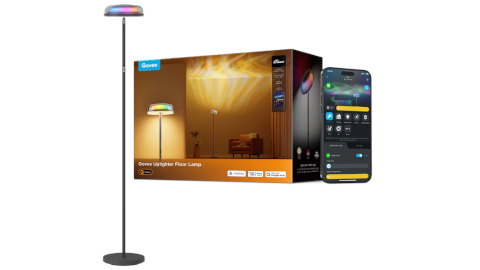 Govee Uplighter