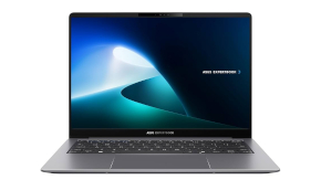 ASUS ExpertBook P5