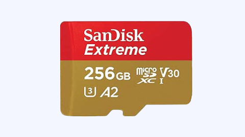 SanDisk carte mémoire 256 GB