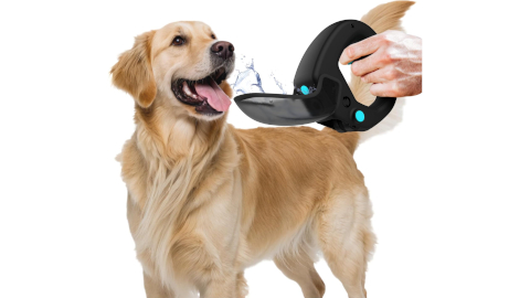 Spleash